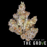 The GRAYPE is an indica-dominant hybrid strain that is derived from the very popular Grape Ape.