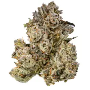 Gorilla Grip #4 by West Coast Cure