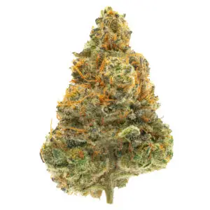 Garlic Juice By West Coast Cure