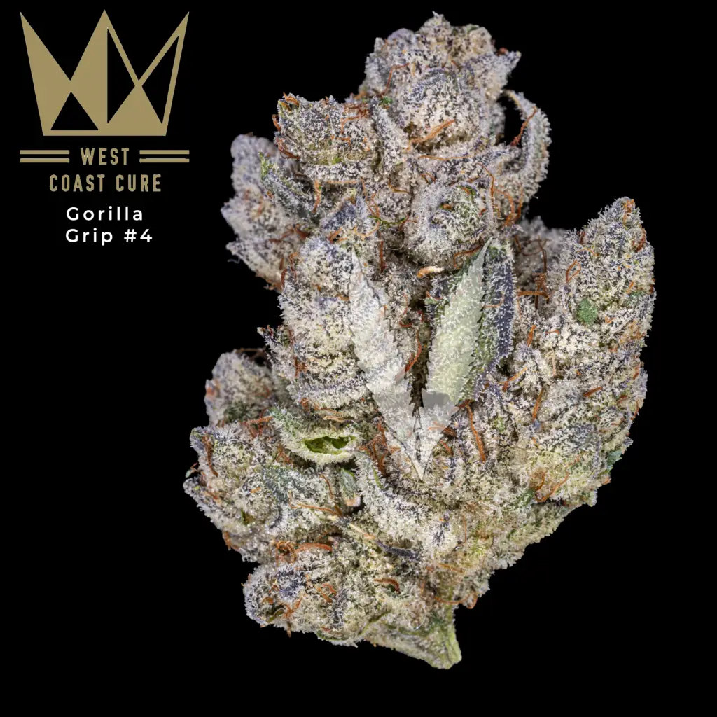 Gorilla Grip #4 by West Coast Cure
