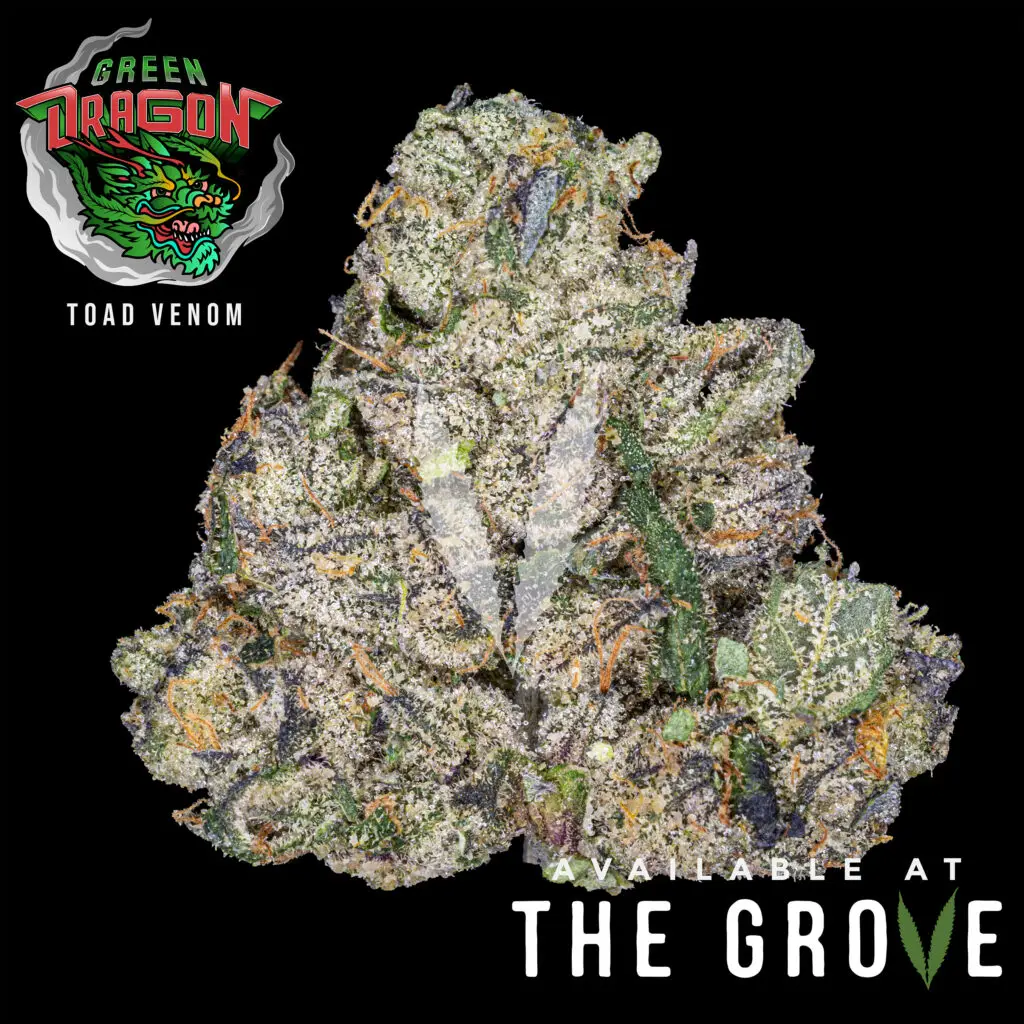 Toad Venom strain by Green Dragon
